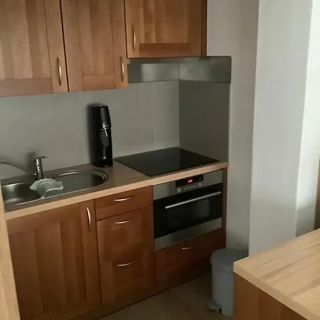 Zongerichte Studio Koksijde St.-Idesbald Met Zeezicht *